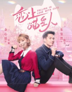 《知否》原著“为夫婿前程，算计明兰婚姻”的华兰：她，太冤了